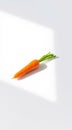 Single Carrot on White Surface Royalty Free Stock Photo