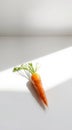 Single Carrot on White Surface Royalty Free Stock Photo