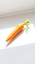 Single Carrot on White Surface Royalty Free Stock Photo