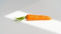 Single Carrot on White Surface Royalty Free Stock Photo