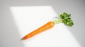 Single Carrot on White Surface Royalty Free Stock Photo