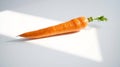 Single Carrot on White Surface Royalty Free Stock Photo