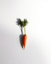 A single carrot on a white surface. Generative AI image. Royalty Free Stock Photo
