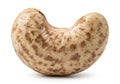 Single cashew nut on white background Royalty Free Stock Photo