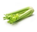 Single celery