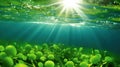 Single-celled organisms, such as phytoplankton, that lose their ability to perform photosynthesis efficiently due to changes in Royalty Free Stock Photo