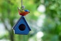 Single ceramic bird house in the garden