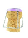 A single champagne cork Royalty Free Stock Photo