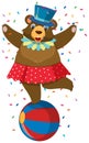 Single character of circus bear on white background