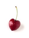 Single cherry Royalty Free Stock Photo