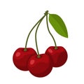 Cherry with a leaf, isolated vector illustration. Three berries on a white background. Royalty Free Stock Photo