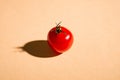 Single cherry tomato vegetable, fresh ripe food on minimal cream colored background Royalty Free Stock Photo