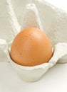 Single chicken egg in gray egg carton Royalty Free Stock Photo