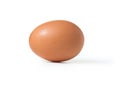 Single egg isolated