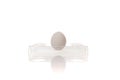 Single chicken egg in plastic holder isolated on white background Royalty Free Stock Photo