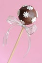 Single chocolate cake pop Royalty Free Stock Photo