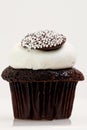 Single Chocolate Cupcake