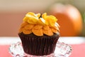 Single chocolate sunflower cupcake macro Royalty Free Stock Photo