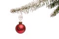 Single Christmas Ornament Royalty Free Stock Photo