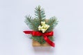 Single Christmas present with fir branch, red bow and branch of plant with white berries Royalty Free Stock Photo