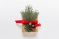 Single Christmas present with fir branch and red bow Royalty Free Stock Photo