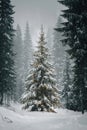 Single Christmas tree covered in snow stands lit in the middle of a dark forest, surrounded by falling snow. A quiet and magical Royalty Free Stock Photo
