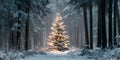 Single Christmas tree covered in snow stands lit in the middle of a dark forest, surrounded by falling snow. A quiet and magical Royalty Free Stock Photo
