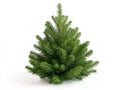 Single Christmas tree decoration isolate on white background Royalty Free Stock Photo