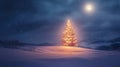 A Single Christmas Tree Illuminated in a Snowy Night Landscape Royalty Free Stock Photo