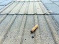 single cigarette butt on the sideway road. foreground close up and blue background. stock photo Royalty Free Stock Photo