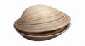 Close-up view of a single open clam shell with textured ridges, isolated on a white background, showcasing natural beauty Royalty Free Stock Photo
