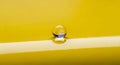 Single clear glass marble resting on a smooth, glossy yellow surface Royalty Free Stock Photo