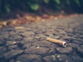 A single cled cigarette on the ground.. AI generation Royalty Free Stock Photo