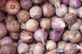 Single clove garlic closeup