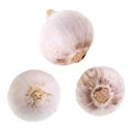 Single Clove Garlic