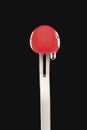 Single cocktail cherry in fork black background