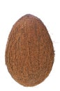 Single coconut