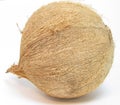 Single coconut