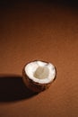 Single coconut fruit on brown plain background, abstract food tropical concept Royalty Free Stock Photo