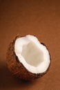 Single coconut fruit on brown plain background, abstract food tropical concept Royalty Free Stock Photo