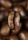 Single coffee bean