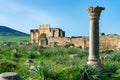 A Single Column and the Arch of Caracalla at the Roman Ruins of Volubilis in Morocco Royalty Free Stock Photo