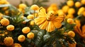 A single Common Tansy flower infront closeup view