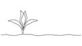 Single continuous line art growing sprout. Plant leaves seed grow soil seedling eco natural farm concept design Royalty Free Stock Photo