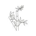 Single continuous line drawing of bamboo trees for plantation logo identity. Fresh evergreen perennial flowering plant concept for Royalty Free Stock Photo