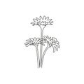 Single continuous line drawing of beauty fresh asteraceae for garden logo. Printable decorative aster flower concept for wall art