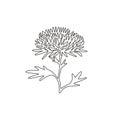 Single continuous line drawing beauty fresh chrysanthemum for garden logo. Printable decorative chrysanth flower concept for home