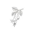 Single continuous line drawing of beauty fresh fuchsia flower for home decor wall art poster print. Decorative shrubs plant for