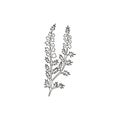 Single continuous line drawing beauty fresh heather for home decor wall art poster print. Decorative calluna vulgaris flower for