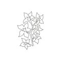 Single continuous line drawing beauty fresh larkspur for home decor wall art print poster. Decorative consolida perennial flower